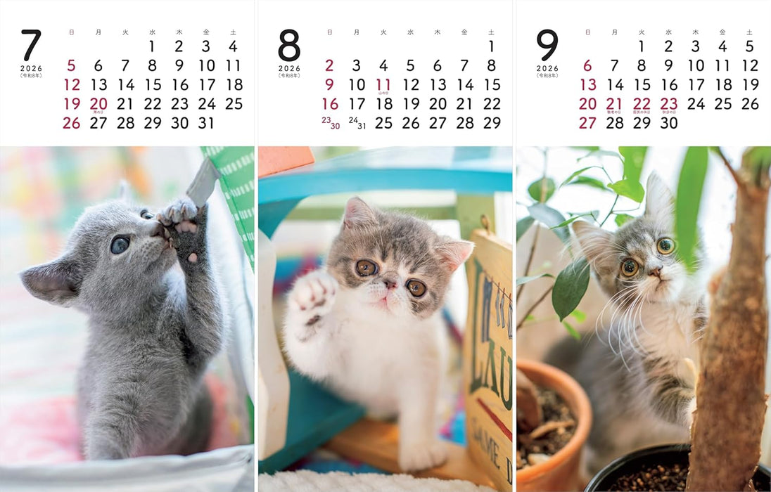 Calendar 2026 - Mini Calendar 'Koneko' (Yama-kei Calendar 2026)