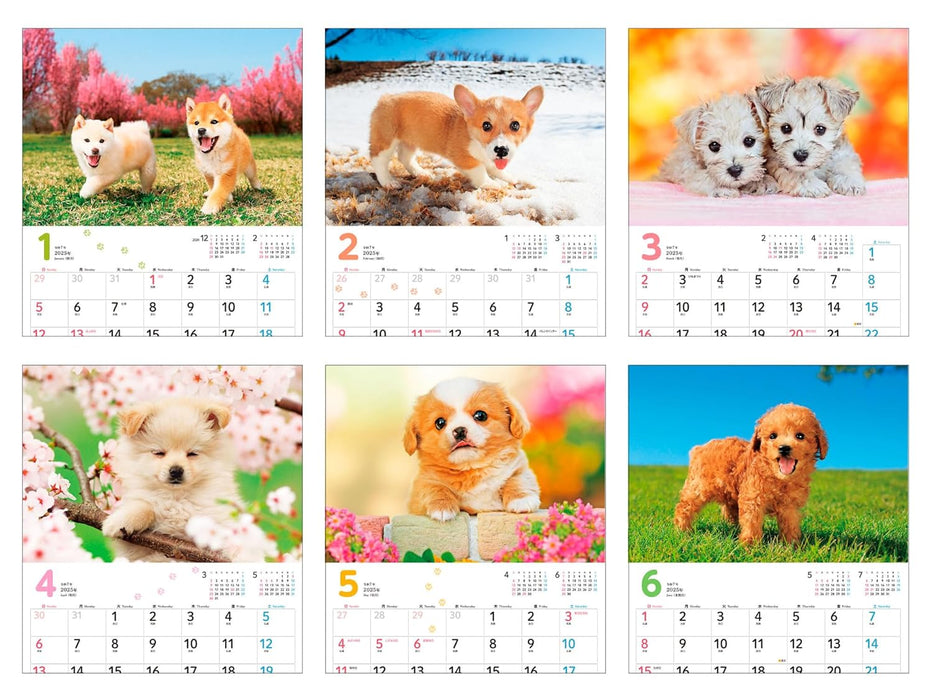 Calendar 2025 Mofu Mofu Koinu (Monthly/Wall Calendar) (Impress Calendar 2025)