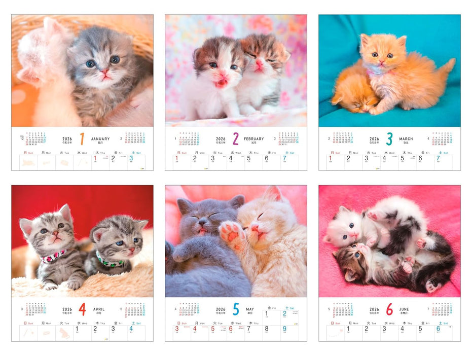 Calendar 2026 Fuwa Fuwa Nyanko (Monthly/Wall Calendar) (Impress Calendar 2026)