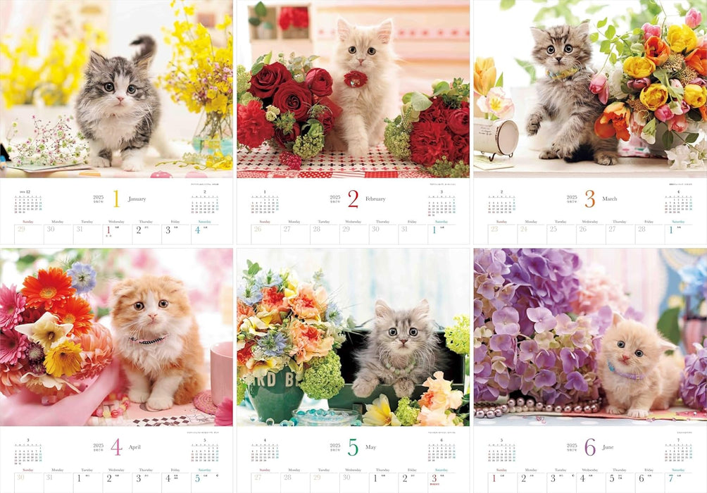 Calendar 2025 Beloved Kittens and Flowers (Monthly/Wall Calendar) (Yama-kei Calendar 2025)