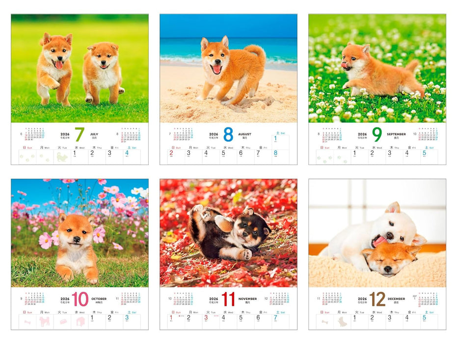 Calendar 2026 Shiba Inu Biyori (Monthly/Wall Calendar) (Impress Calendar 2026)