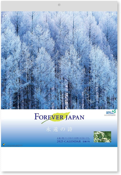 New Japan Calendar 2025 Wall Calendar Forever Japan NK142 610x425mm