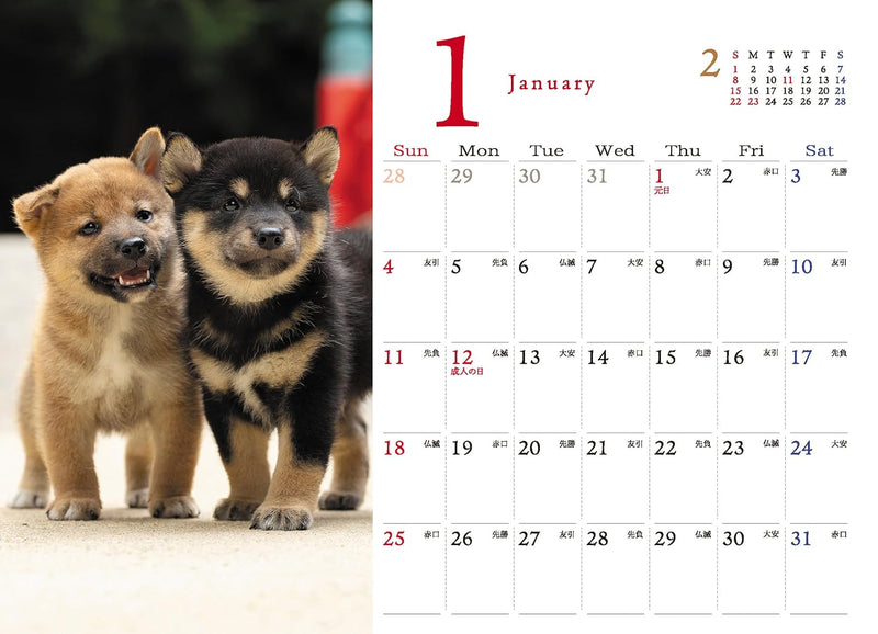 Shiba Inu Desk Calendar 2026