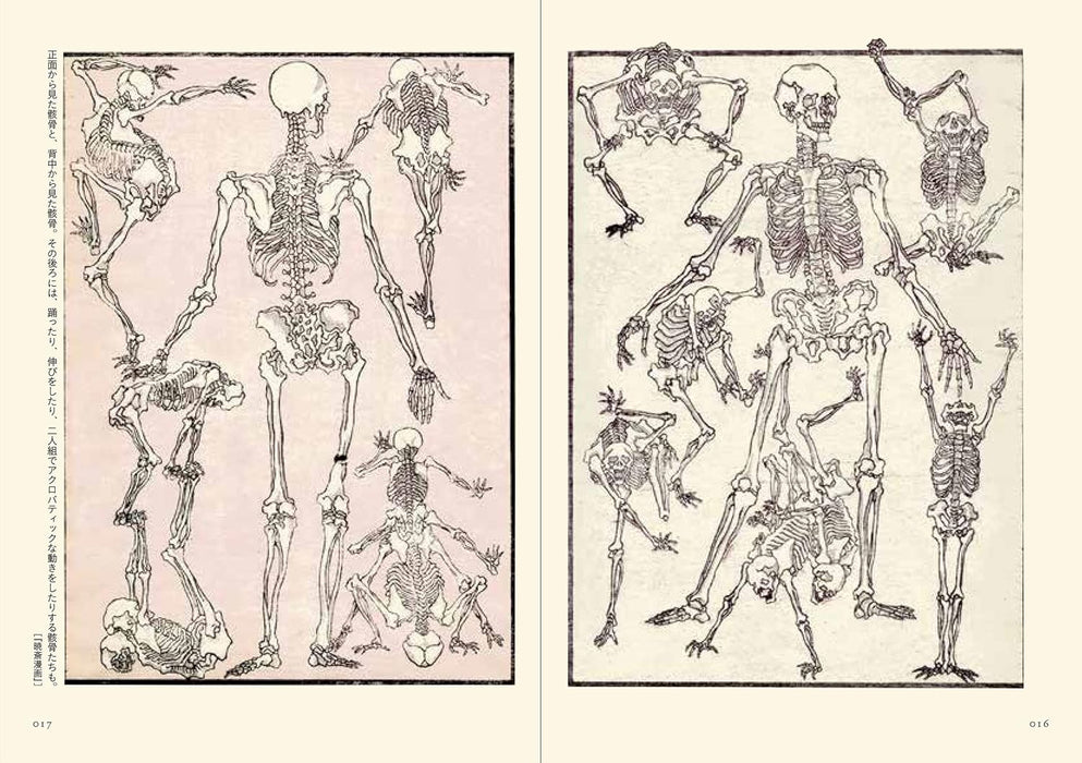 Picture Books of Kawanabe Kyosai