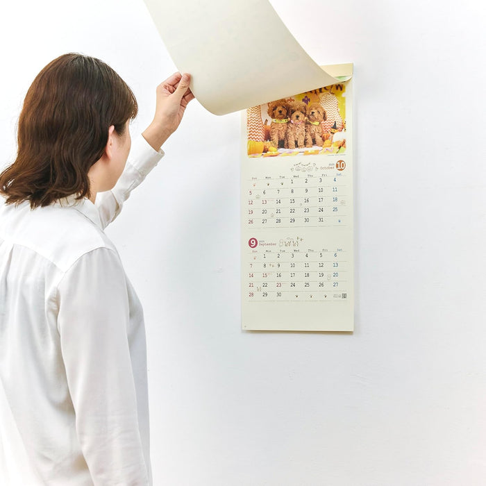 New Japan Calendar 2025 Wall Calendar Natural Dog NK434