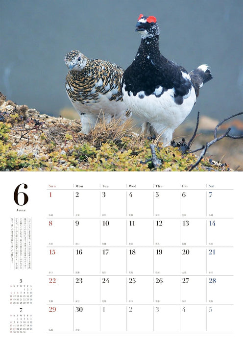 Rock Ptarmigan (Raichou) Seasons of the Sacred Bird 2025 Wall Calendar