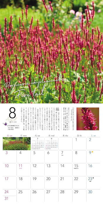 Ogihara Plant Garden Perennial 2025 Wall Calendar