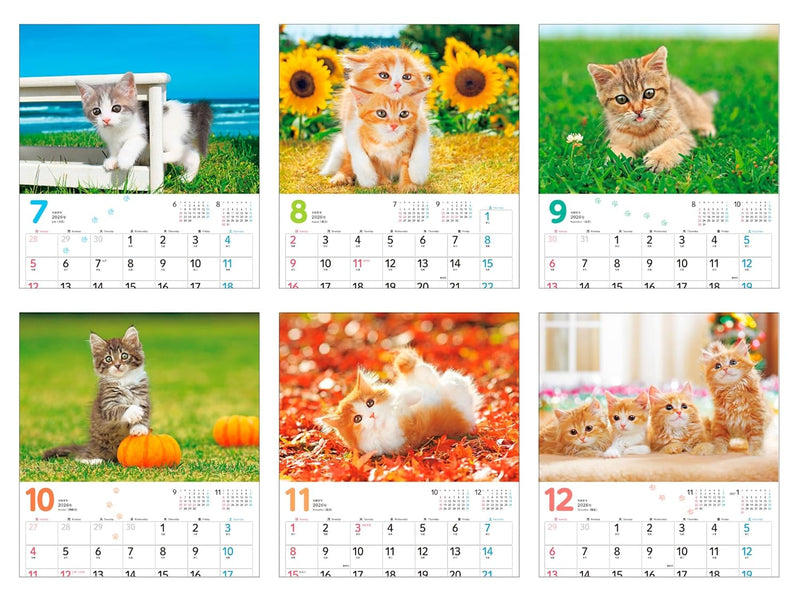 Calendar 2026 Mofu Mofu Koneko (Monthly/Wall Calendar) (Impress Calendar 2026)