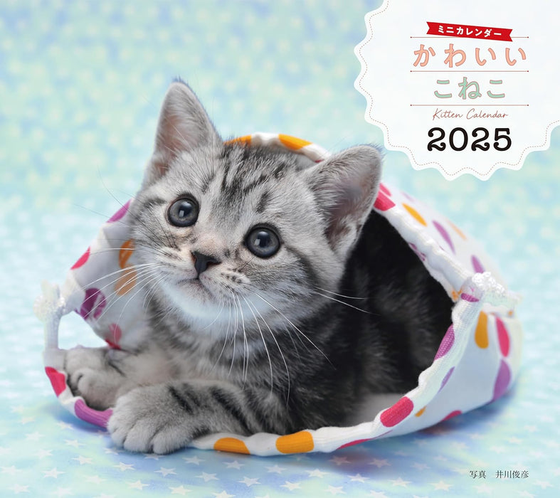 2025 Cute Kittens Calendar