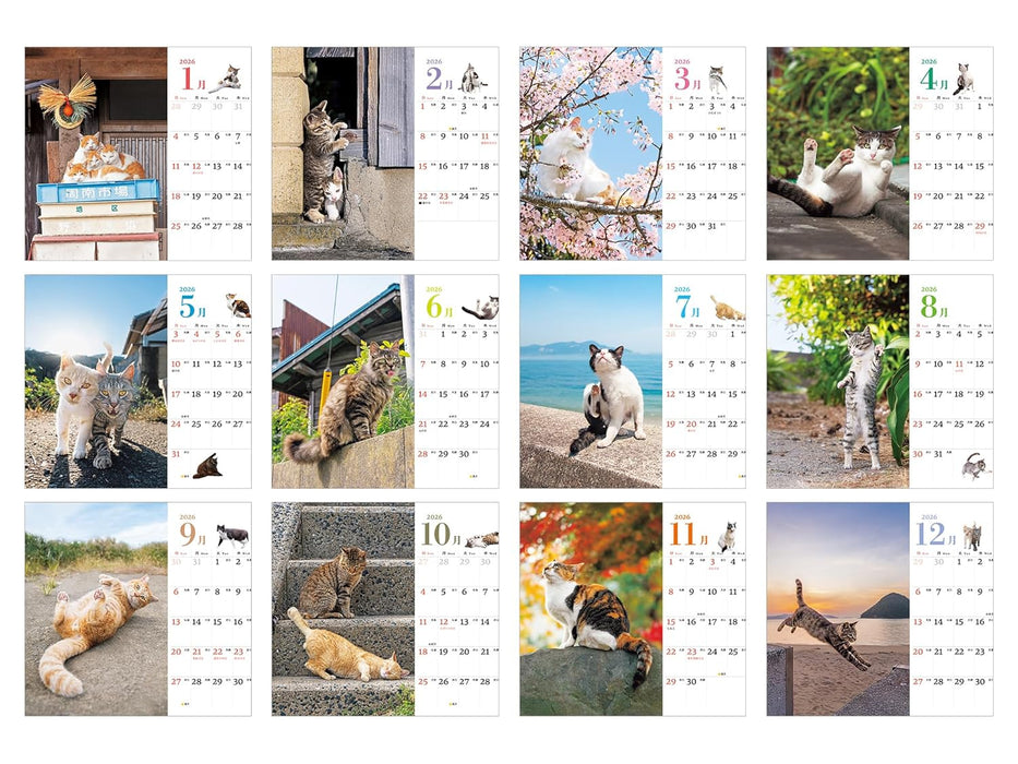 Soto Neko mini Calendar 2026 (Impress Calendar 2026)