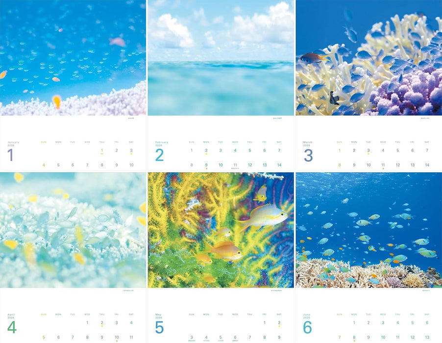 Calendar 2026 The Happiest Sea: The Most Beautiful Ocean in the World (Monthly/Wall Calendar) (Yama-kei Calendar 2026)