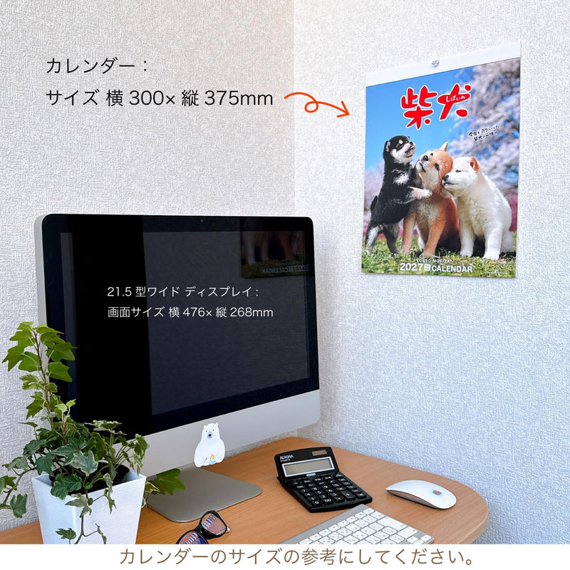 Active Corporation 2027 Wall Calendar Yoneo Morita Marugoto Shibainu 27ACL-11