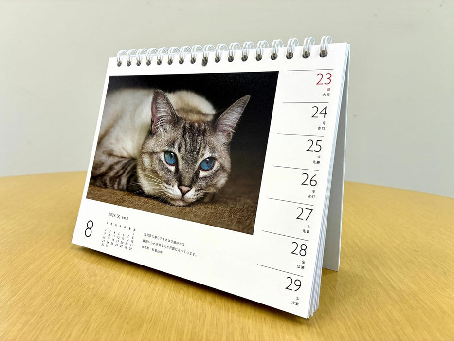Calendar 2026 Mitsuaki Iwago x Cat (Weekly/Desk Ring Calendar) (Yama-kei Calendar 2026)