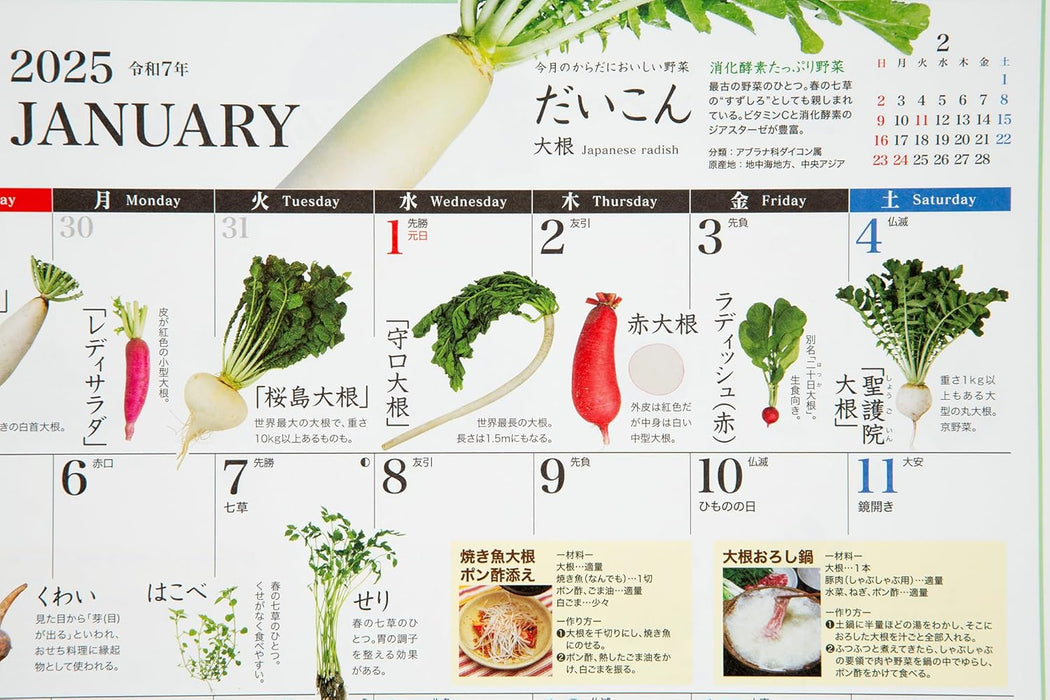 Takahashi 2025 Wall Calendar The Handy Vegetable Guide A3 E561