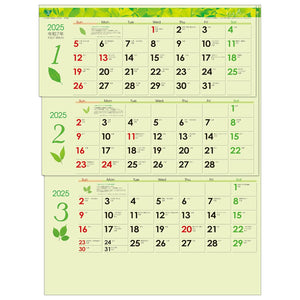 Todan 2025 Wall Calendar Green 3-Month eco M (From Top to Bottom Type / Perforated) 53.5 x 38cm TD-30940