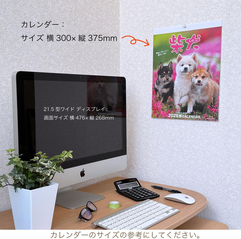 Active Corporation 2026 Wall Calendar Yoneo Morita Marugoto Shibainu 26ACL-11