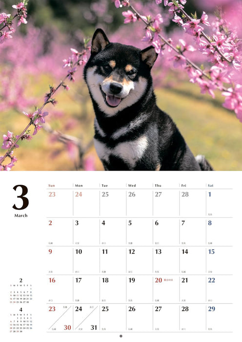 Black Shiba Inu Calendar 2025 (Wall Calendar)