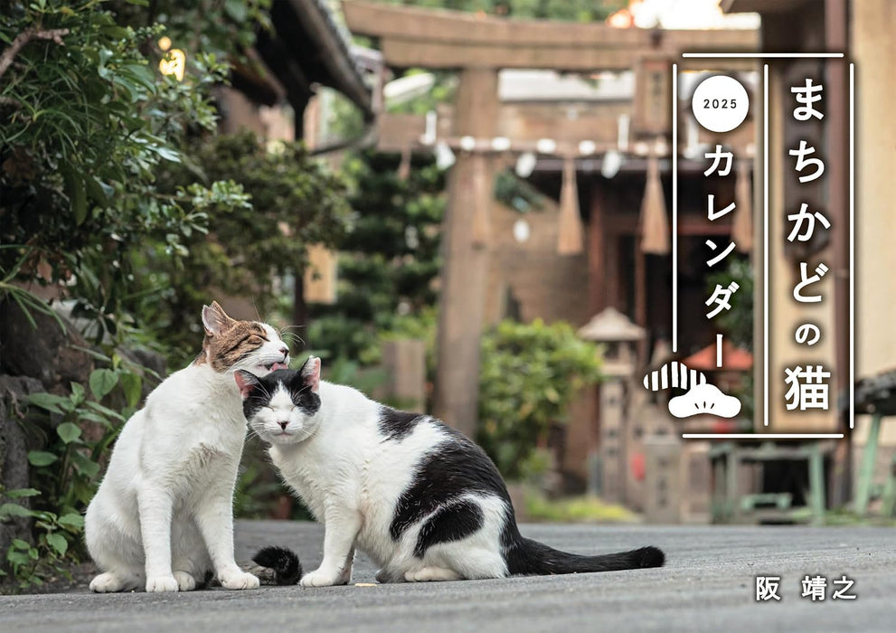 Street Corner Cats Calendar 2025 (Wall Calendar)