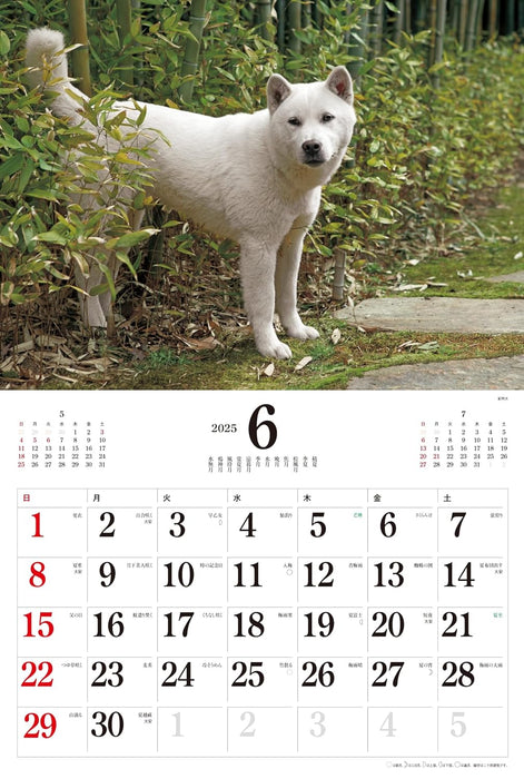 2025 Japanese Dogs Calendar