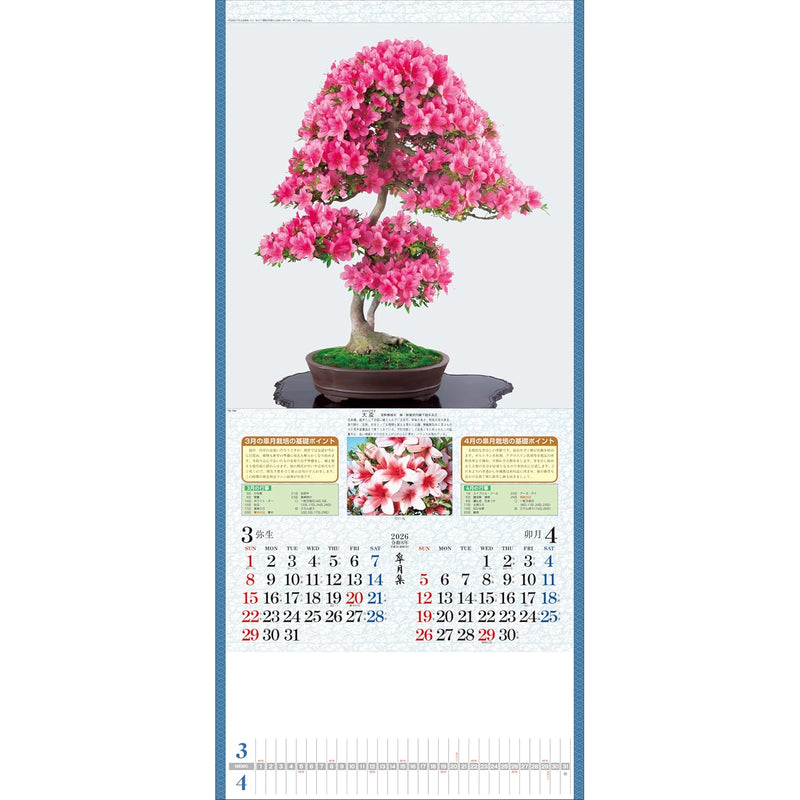 Todan 2026 Wall Calendar Satsuki Shu 76.5 x 35cm TD-784