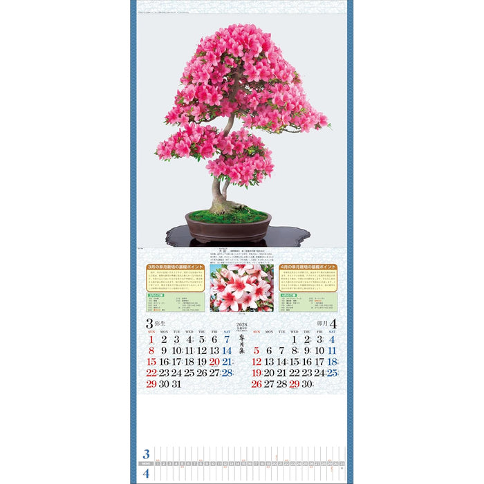 Todan 2026 Wall Calendar Satsuki Shu 76.5 x 35cm TD-784