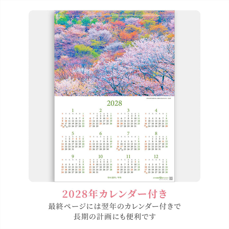 Shashin Koubou Calendar 'Natural Beatury in Japanese Forests' 2027 Wall Calendar (with Transparent Holder)