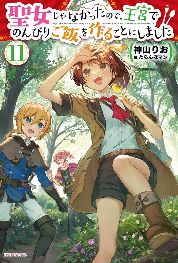 Seijo ja Nakatta node, Oukyuu de Nonbiri Gohan wo Tsukuru Koto ni Shimashita 11 (Light Novel)