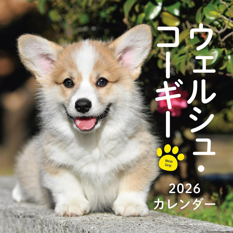 2026 Welsh Corgi Calendar (Seibundo-shinkosha Calendar)