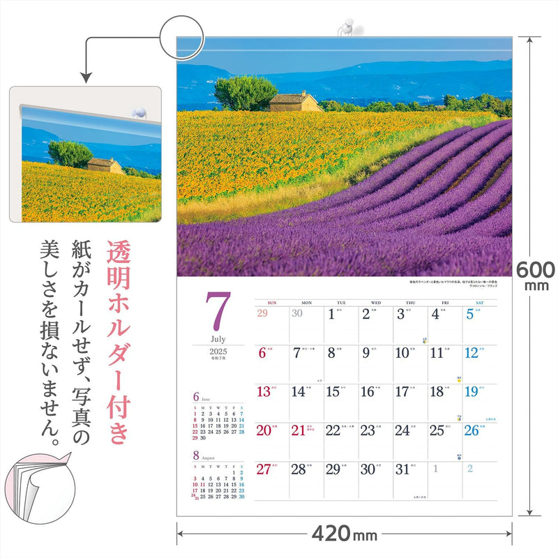 Shashin Koubou Wandering Around Botanical Fields 2025 Wall Calendar