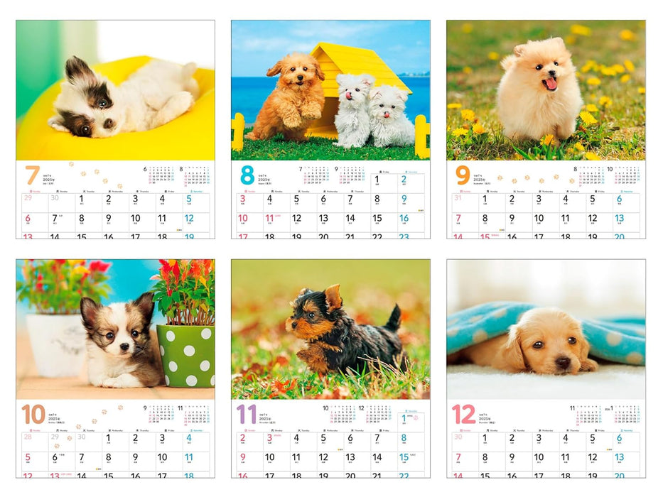 Calendar 2025 Mofu Mofu Koinu (Monthly/Wall Calendar) (Impress Calendar 2025)