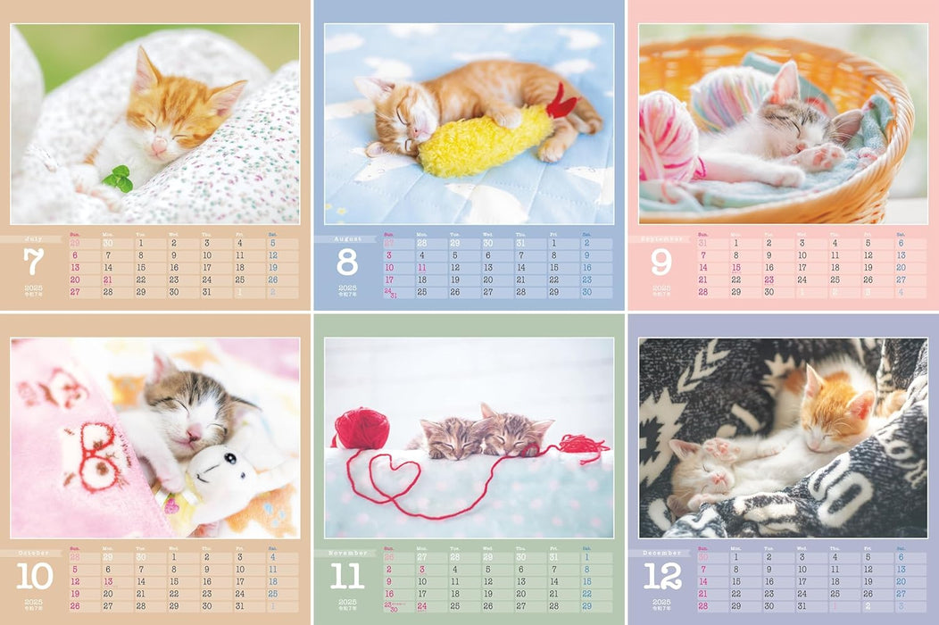 Kitten's Lullaby: 2025 Charity Calendar for Rescue Cats (Monthly / Desktop, Ring Binding)