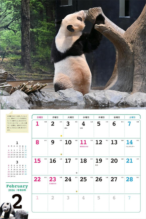 Hello Xiaoxiao Lei Lei 2026 Calendar