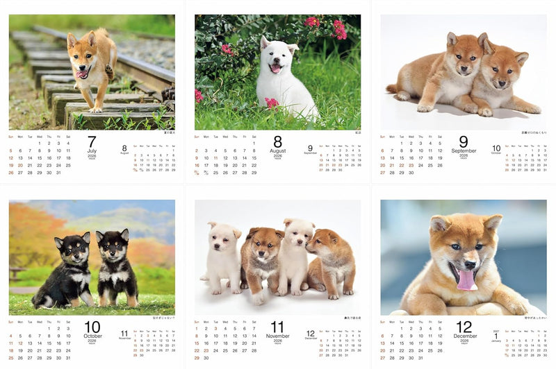 2026 Koshiba Calendar (Flip Desk/Ring Calendar) (Yama-Kei Calendar 2026)