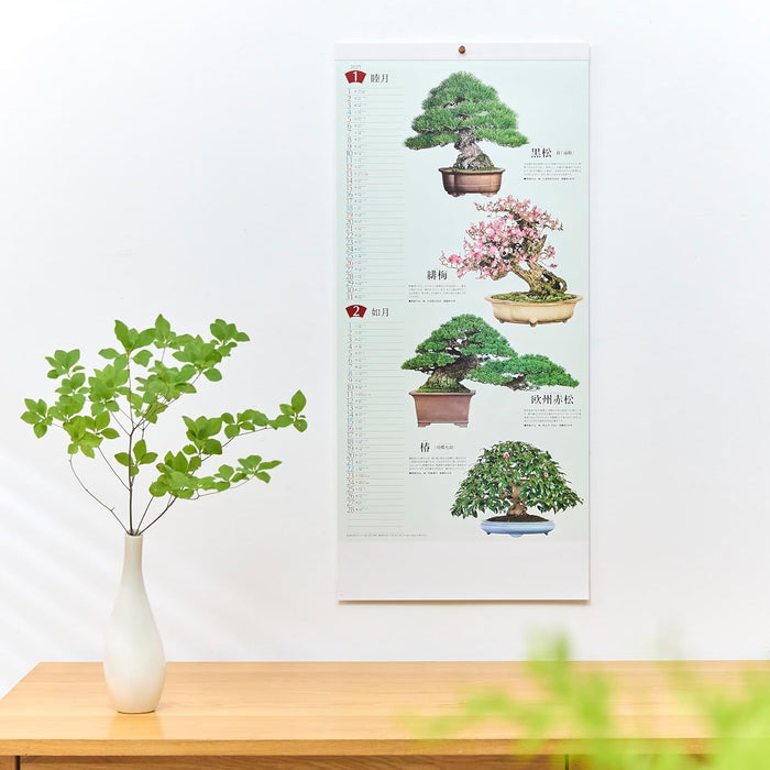 New Japan Calendar 2025 Wall Calendar Bonsai Calendar NK152 770x350mm