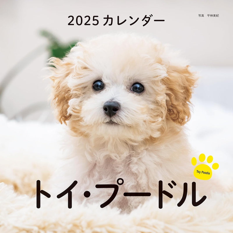2025 Toy Poodle Calendar