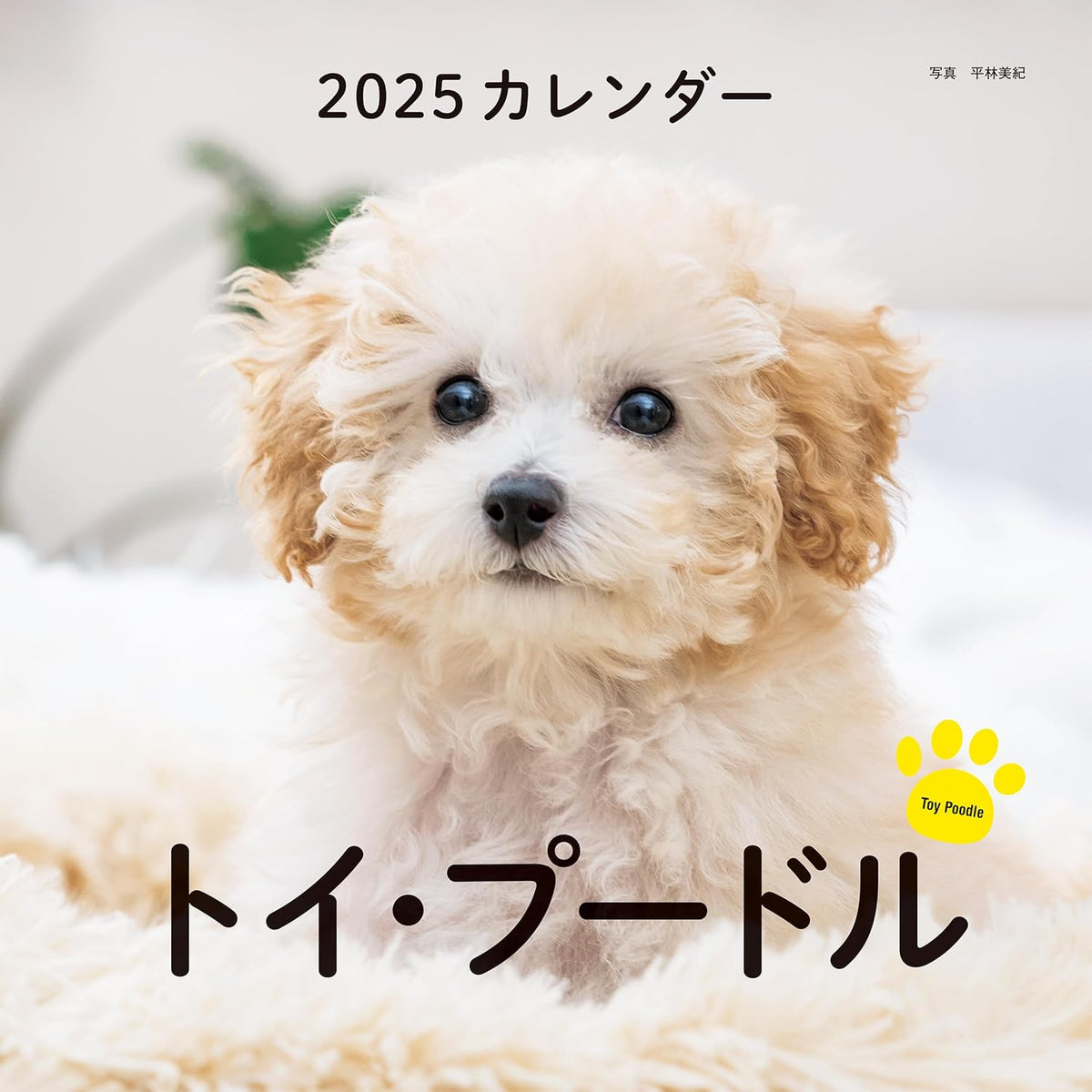 2025 Toy Poodle Calendar — Japanese Book Store