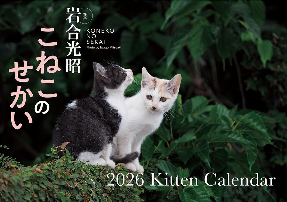 Koneko no Sekai 2026 Kitten Calendar S17
