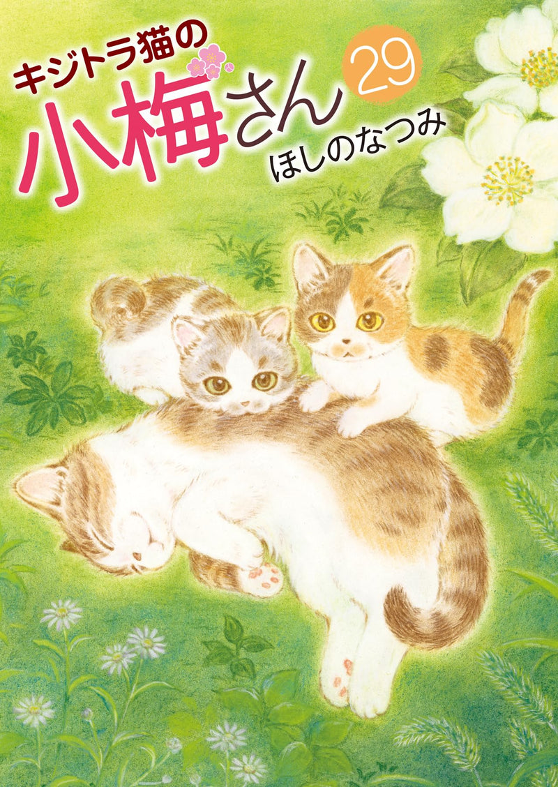 Plum Crazy! Tales of a Tiger-Striped Cat (Kijitora Neko no Koume-san) 29