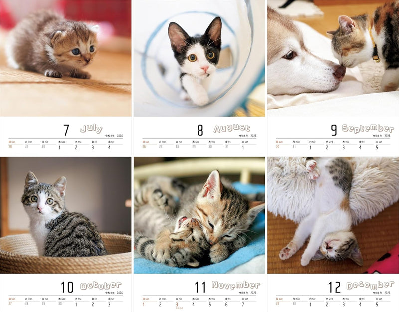 2026 Calendar Tiny Cat Mofu (Monthly / Wall Hanging)