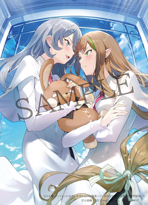 Is It Wrong to Try to Pick Up Girls in a Dungeon? 21 (Light Novel) Special Edition with Booklet