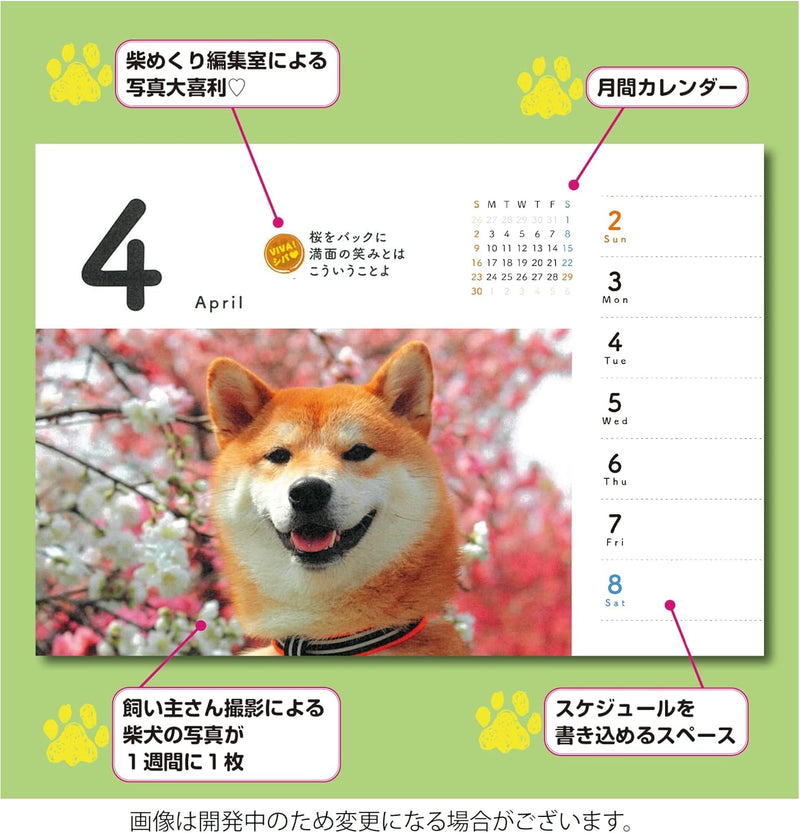 CO2 Shiba Inu 2024 Desk Calendar CK-D25-03
