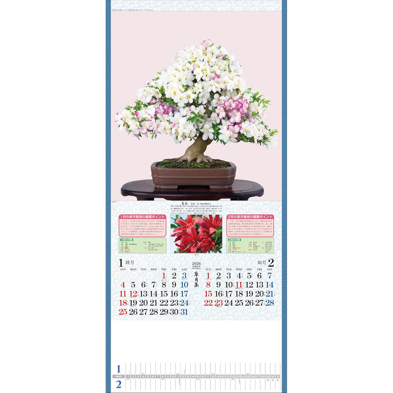Todan 2026 Wall Calendar Satsuki Shu 76.5 x 35cm TD-784