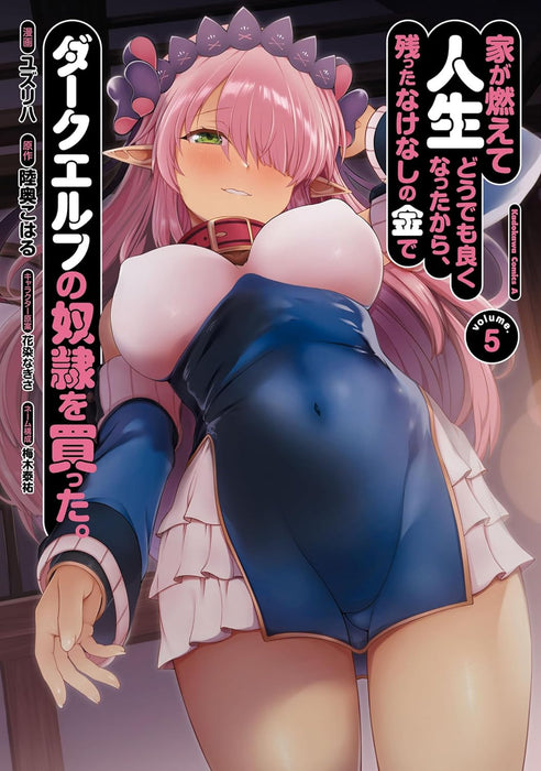 Ie ga Moete Jinsei Doudemo Yoku Natta kara, Nokotta Nakenashi no Kane de Dark Elf no Dorei wo Katta. 5