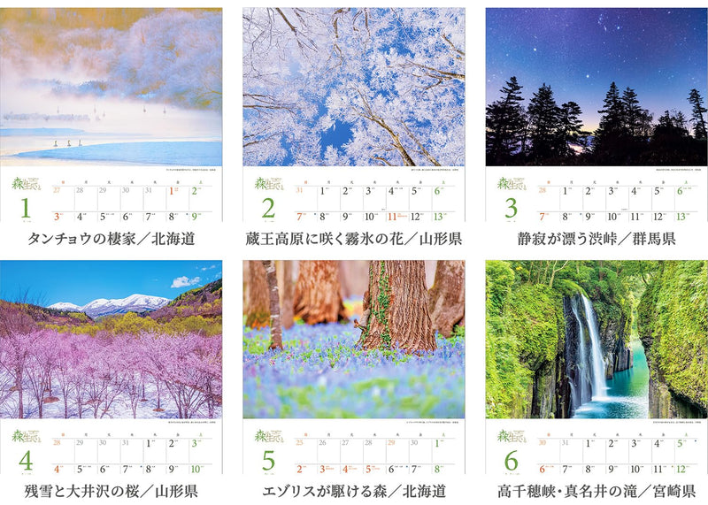 Shashin Koubou Calendar 'Natural Beatury in Japanese Forests' 2027 Wall Calendar (with Transparent Holder)