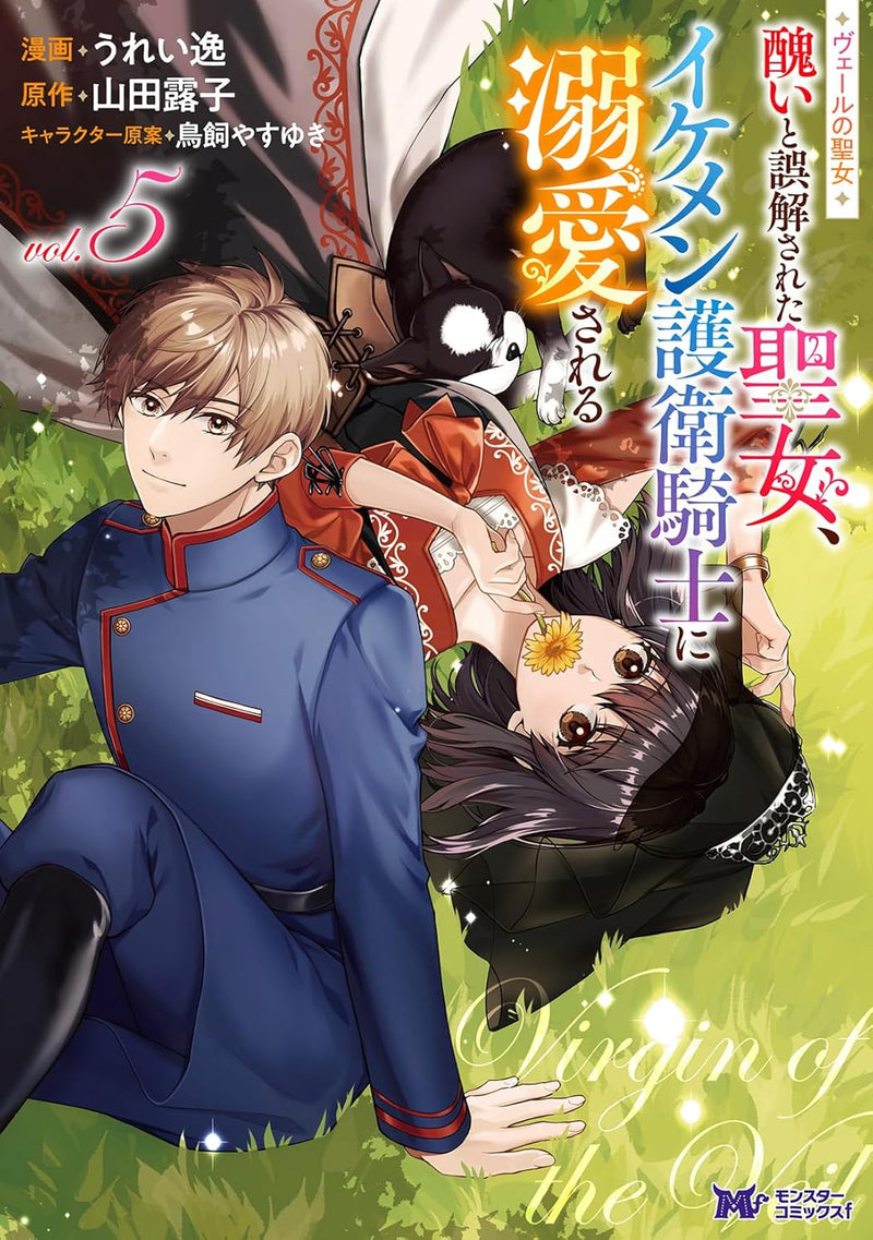 Veil no Seijo - Minikui to Gokaisareta Seijo, Ikemen Ikemen Goei Kishi ni Dekiaisareru - 5