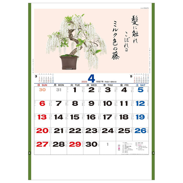 Todan 2025 Wall Calendar Bonsai Masterpiece Collection 60 x 42.5cm TD-665