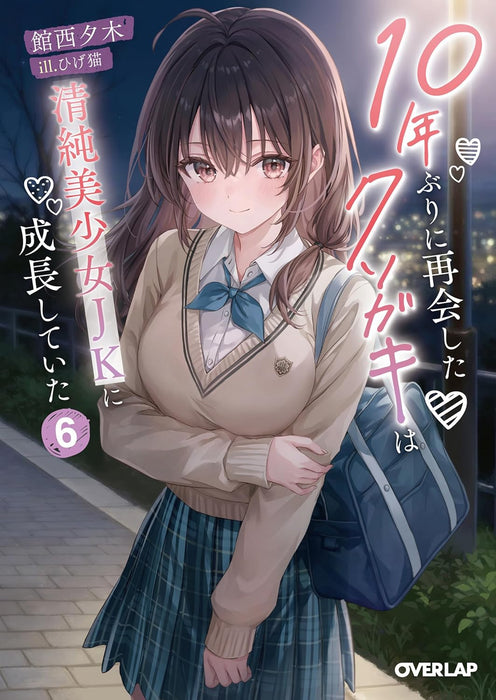 10-nen Buri ni Saikai shita Kusogaki wa Seijun Bishoujo JK ni Seichou shiteita 6 (Light Novel)