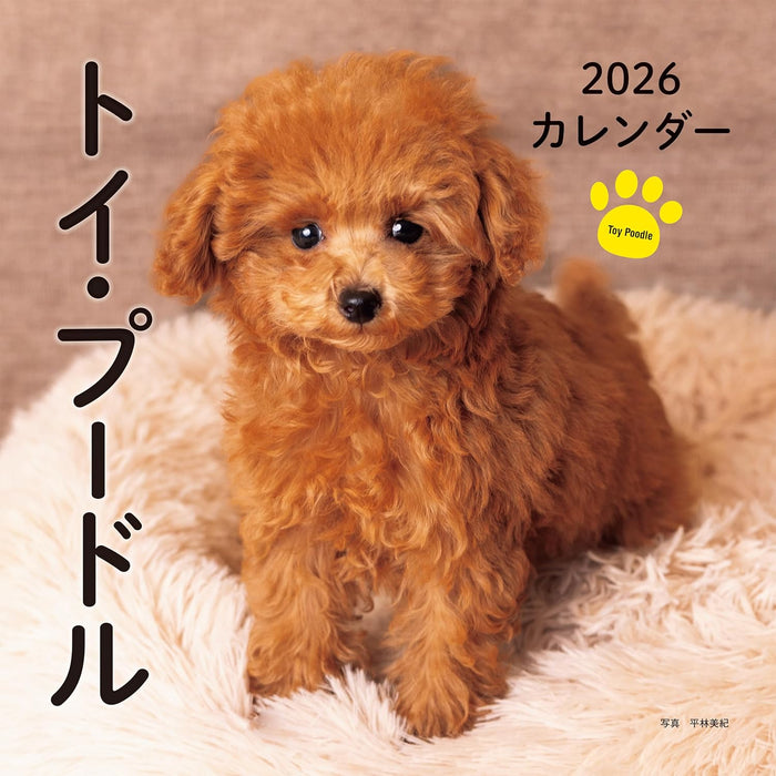 2026 Toy Poodle Calendar