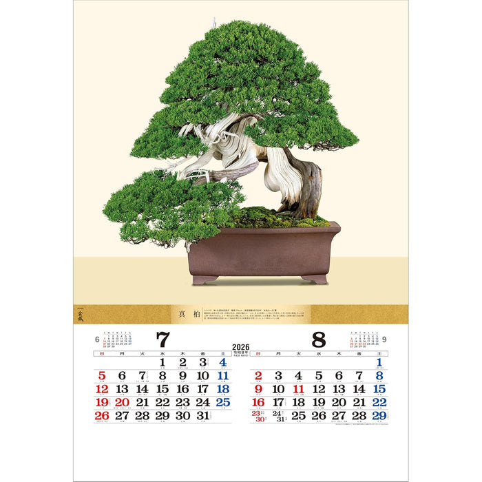 Todan 2026 Wall Calendar Bonsai 76.6 x 51.5cm TD-624