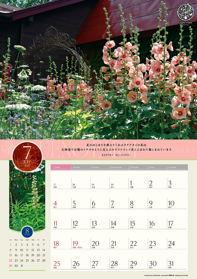 Try-X 2027 Wall Calendar Ueno Farm Hokkaido Garden 27CL-478 52x36cm